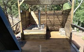 Treehaven Retreat
